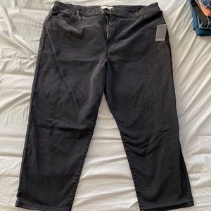 Eloquii black denim